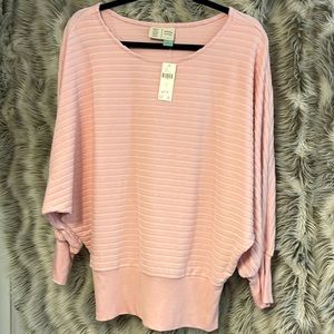 Anthropologie small NWT long sleeve pullover.